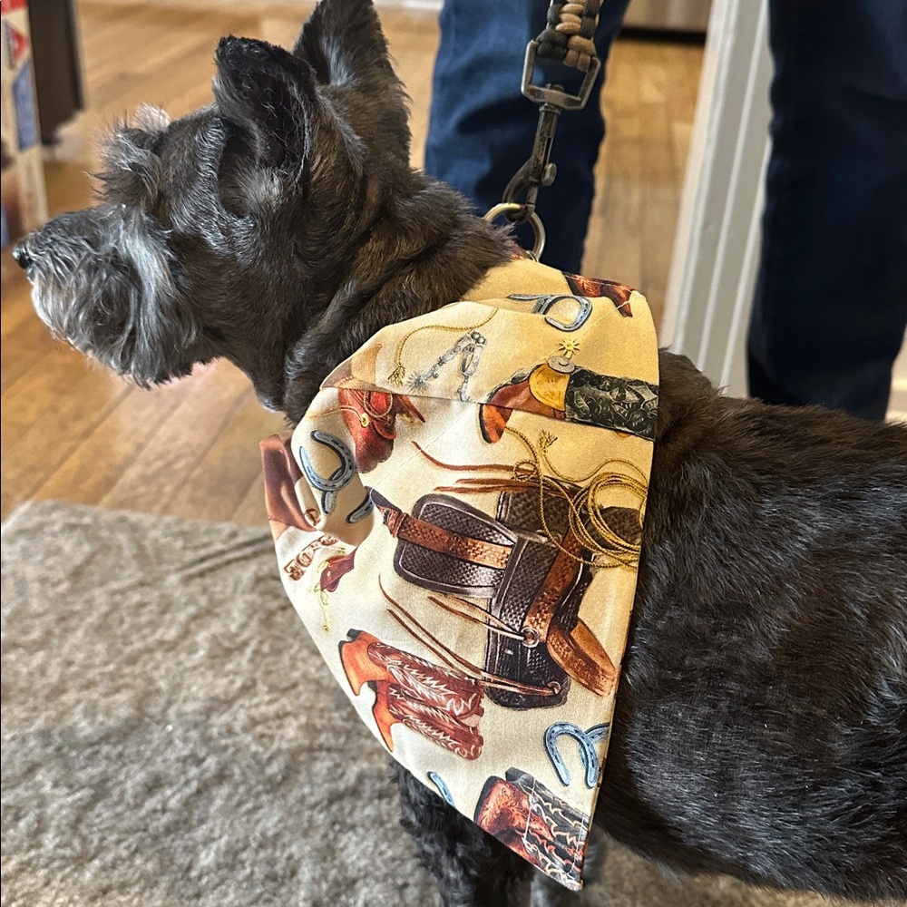 Stylish Dog Bandana with Matching Poopie Bag